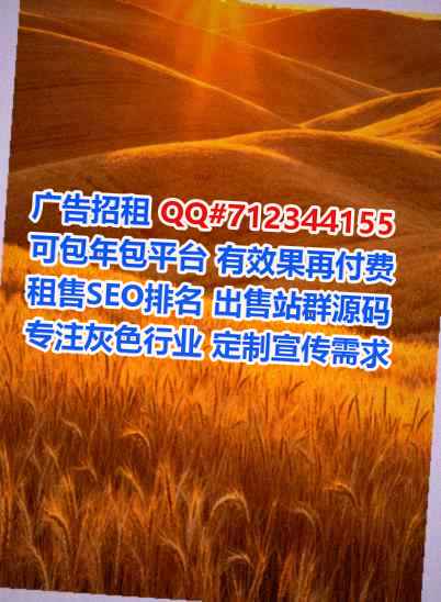 临泉生子投资有限公司